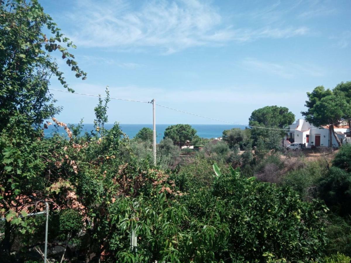 Stanza In Villa Con Giardino Vista Mare Cefalú Exterior foto