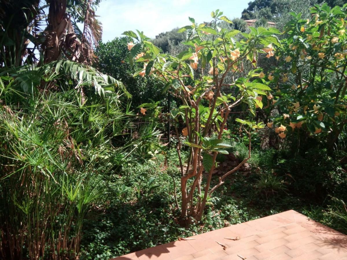 Stanza In Villa Con Giardino Vista Mare Cefalú Exterior foto